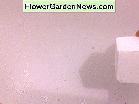 Na: het nagelvijlblok heeft de essentiƫle olievlekken op het glasvezelbad gewist After: the nail file block has erased the essential oil stains on the fibreglass bathtub