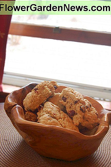 Rustikale hölzerne Schüssel gefüllt mit Scones. Rustic wooden bowl filled with scones.