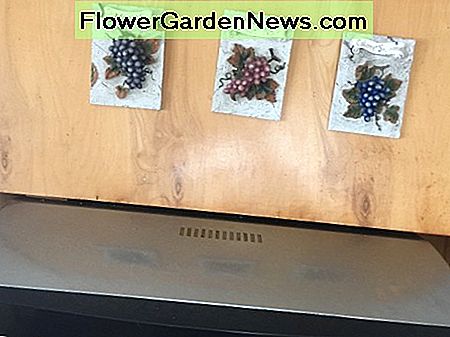 Range Hood Range Hood