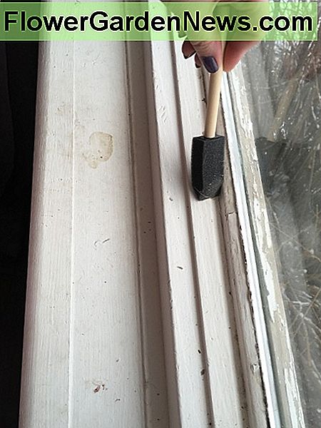 Rengjøring av vinduesvinduet. Cleaning bedroom window sill.