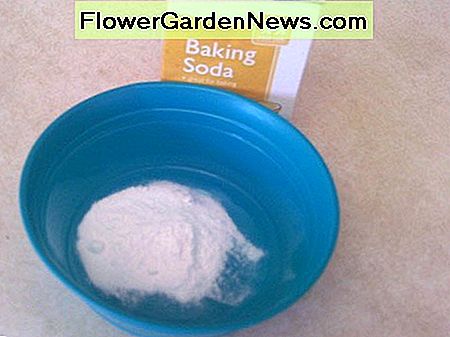 Soda gali pašalinti kvapus iš drabužių. Baking soda can remove odors from clothing.