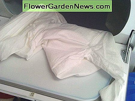 Puikus triukas: kad nešvarūs drabužiai kvepėtų gerai, juos keletą minučių sukiodami džiovykloje su džiovinimo spraustuku. A great trick: Make dirty clothes smell good by spinning them in the dryer with a dryer sheet for a few minutes.