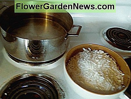 Panas iš trijų kvarcų vandens ir 12 uncijų dubenėlio tarkuotu muilu Pan of three quarts water and bowl of 12 ounces grated soap