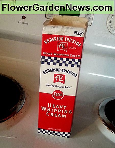 Muilas įpilamas į kremo dėžutę Soap poured into a cream carton