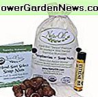 NaturOli muilo gėrimai / muilo uogos-pardavimas-1/2-Lb USDA ORGANIC (120 krovinių) + 18X BONUS! (12 krovinių) Pasirinkite