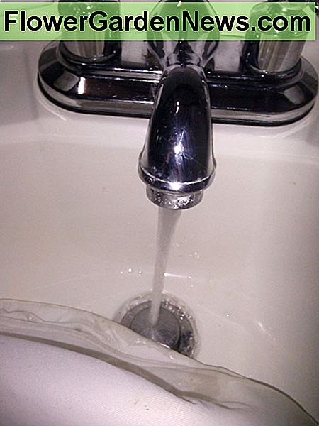 Sobald Sie eine warme Temperatur erreicht haben, ist es Zeit, die Spüle zu verstopfen und zuzulassen, dass sie halb gefüllt ist. Once you have reached a warm temperature, it is time to plug the sink and allow it to fill halfway.
