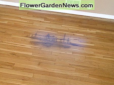 Dieser Bereich des Bodens muss nachgearbeitet werden, um den Fleck zu bedecken. This area of the floor needs refinished to cover the stain.