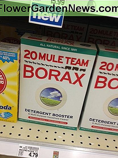 4lb, 12oz กล่อง Borax บนหิ้งที่ Kroger ท้องถิ่นของเรา A 4lb, 12oz. box of Borax on the shelf at our local Kroger.