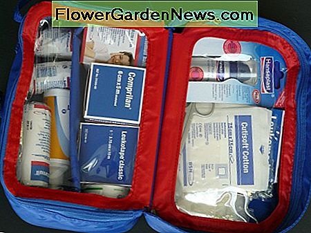 Ar jūsų avarinis komplektas yra tipiškos formos? Gaukite ją taip, kad jis būtų ten, kai to reikia. Is your emergency kit in tip-top shape? Get it organized so that it's there when you need it.