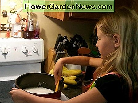 Machen Sie selbstgemachte Waschmittel Make homemade laundry soap