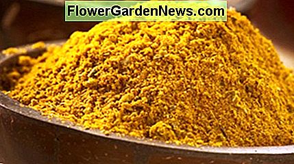 Senfpulver ist eines der besten Reinigungsmittel für natürliche Gerichte aufgrund seiner Fähigkeit, Fett abzuwehren. Mustard powder is one of the best natural dish cleaners due to its ability to repel fat.