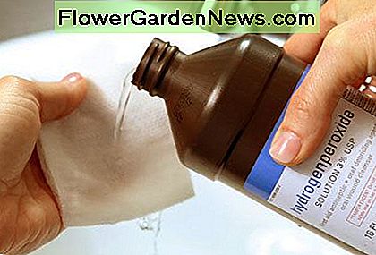 Wasserstoffperoxid ist ein großartiges natürliches Bleichmittel. Hydrogen peroxide is a great natural bleach.