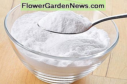 Backpulver ist aufgrund seiner abrasiven Eigenschaften eines der besten natürlichen Reinigungsprodukte. Baking soda is one of the best natural cleaning products due to its abrasive features.