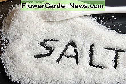 Salz ist das billigste natürliche Reinigungsprodukt, das in jeder Küche erhältlich ist. Salt is the cheapest natural cleaning product that is available in every kitchen.