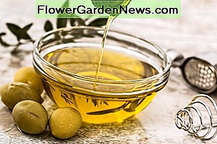 Olivenöl ist das beste natürliche Reinigungsprodukt für Möbel. Olive oil is the best natural cleaning product for furniture.