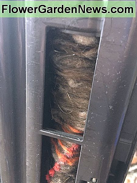 Min Dyson plockade inte upp eftersom rullen var helt igensatt med hÄr My Dyson wasn't picking up because the roller was completely clogged with hair