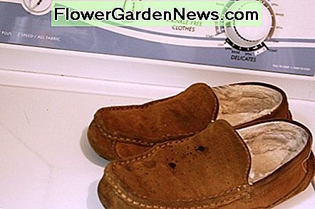 ซักผ้าหนังนิ่มในเครื่องซักผ้าเป็นวิธีที่จะทำลายพวกเขา Washing anything suede in the washing machine is a sure way to ruin them.