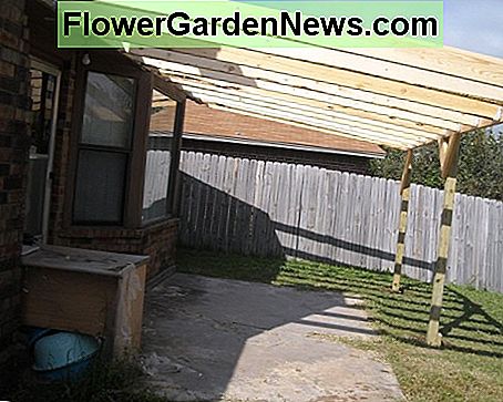 Balken Joists