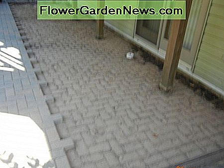 Dit wat overbleef nadat we de stenen omhoog hadden getrokken. Dat is gewoon zand. This what was left after we pulled up the bricks. That is just sand.