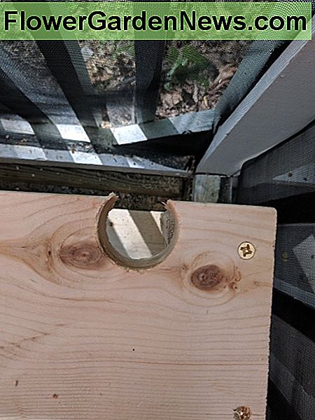 Hier ist mein Schnitt für mein Abflussrohr. Here's my cut for my drainage pipe.