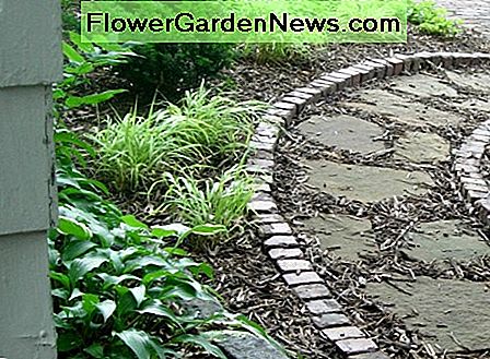 Stone Edging Stone Edging