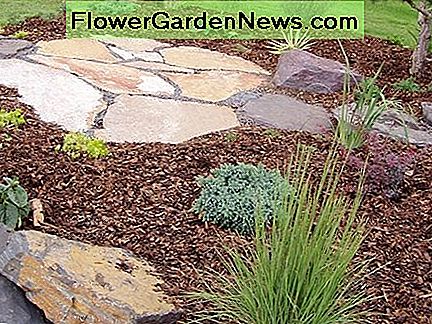 Flagstone en Woodchips Flagstone and Woodchips