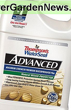 Thompsons WaterSeal TH.A21711-16 Advanced Natural Holzschutz, Gallone