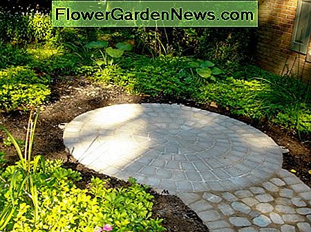 Es ist an der Zeit, Landschaftsbeleuchtung hinzuzufügen, mehr Pflanzen zu pflanzen und Gartenmöbel einzurichten. It's time to add landscape lighting, plant more, and set up outdoor furniture.