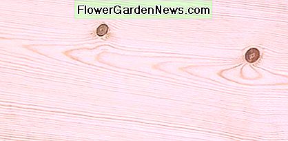 Druckbehandeltes Kiefernholz ist ein kosteneffektives Deckmaterial. Pressure treated pine lumber is a cost-effective decking material.