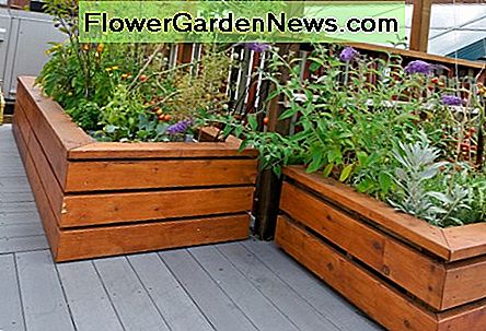 tuinieren met verhoogd bed raised bed gardening