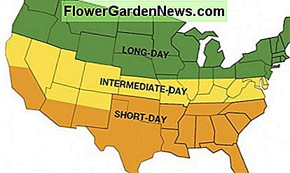 Tageslichtstunden für vegetatives Wachstum in Ohio Daylight hours for vegetative growth in Ohio