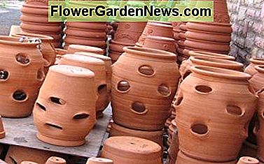 Terra Cotta Töpfe Terra Cotta Pots