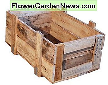 Holzbox Wooden Box