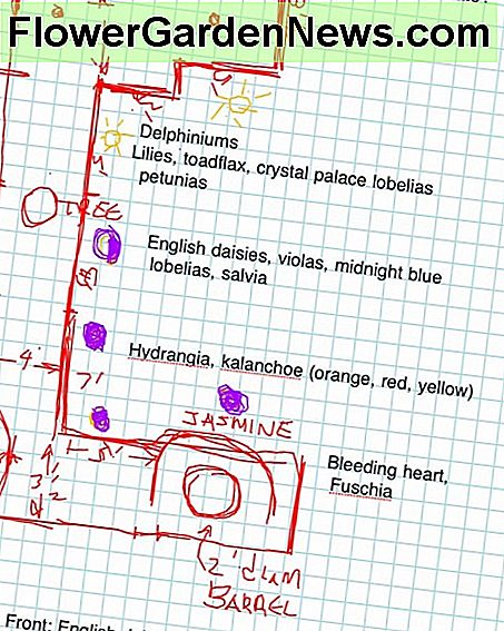 Mein Patiogartenplan half mir, intelligente Auswahl im Kinderzimmer zu treffen! My patio garden plan helped me make smart selections at the nursery!