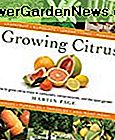 Voksende Citrus: Den Essential Gardener's Guide