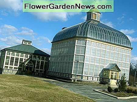Wintergarten Conservatory