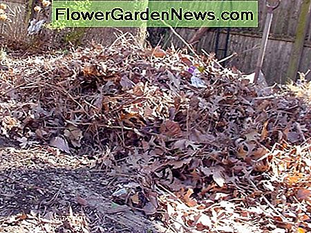 Kompost Zutaten - geharkt Blätter Compost ingredients - raked leaves