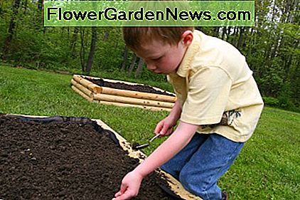 Unser Sohn, pflanzt Orange Tendersweet Wassermelonensamen. Our son, planting Orange Tendersweet watermelon seeds.