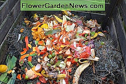 Jūsų komposto maisto atliekos Food scraps for your compost