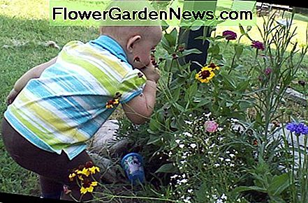 Kinder nehmen sich immer Zeit, um die Blumen zu riechen. Children always take time to smell the flowers.