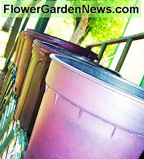 Rosa Töpfe standen nebeneinander und warteten auf Ringelblumen. Pink pots all lined up and waiting for marigolds.