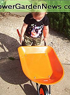 Das Bewegen von Schmutz und Steinen ist mit einer kleinen Schubkarre viel einfacher. Moving dirt and rocks is much easier with a toddler-sized wheelbarrow.