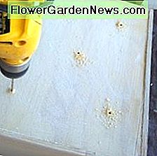 Sorgen Sie fĂŒr ausreichende Drainage in Ihren GartenbehĂ€ltern. Ensure adequate drainage in your garden containers.