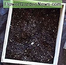FĂŒllen Sie die Kiste mit Blumenerde und Bodenverbesserungen. Fill the crate with potting soil and soil amendments.