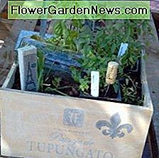 FĂŒgen Sie Pflanzenbezeichnungen zu Ihrem Garten hinzu. Add plant labels to your garden.