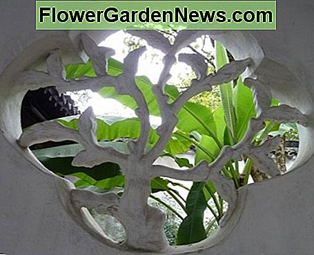 Chinesisches Gartenfenster Design Chinese garden window design