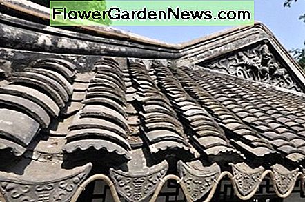 Das Chinesische Gartendach The Chinese Garden roof