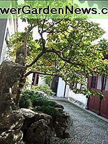 Meister des Nets Hof Master of the Nets courtyard