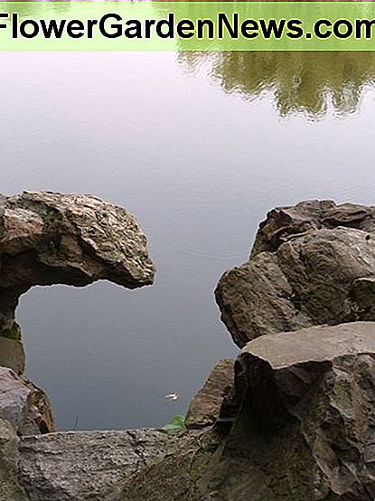 Chinesische Gartenfelsen und -teich Chinese garden rocks and pond