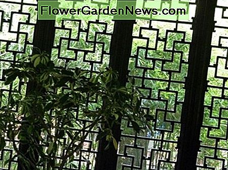 Chinesische Gartenkunstarchitekturgeschichte Chinese garden art architecture history